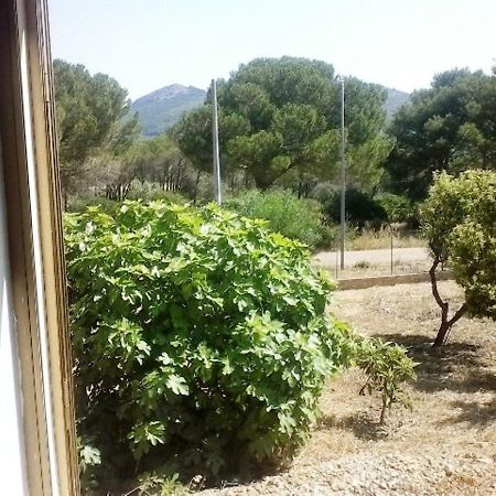 Privacy & Relax In Sardegna Bed and Breakfast Porto Conte Buitenkant foto