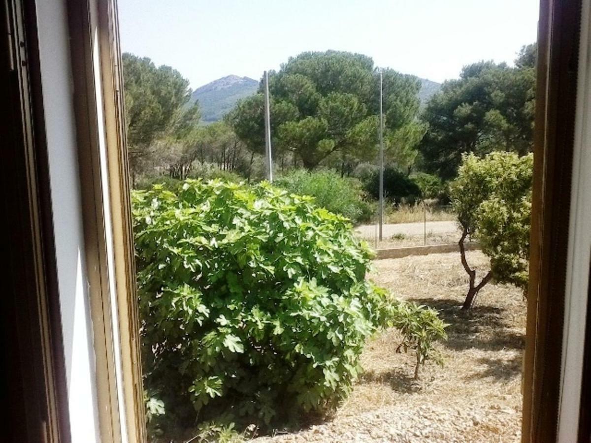 Privacy & Relax In Sardegna Bed and Breakfast Porto Conte Buitenkant foto