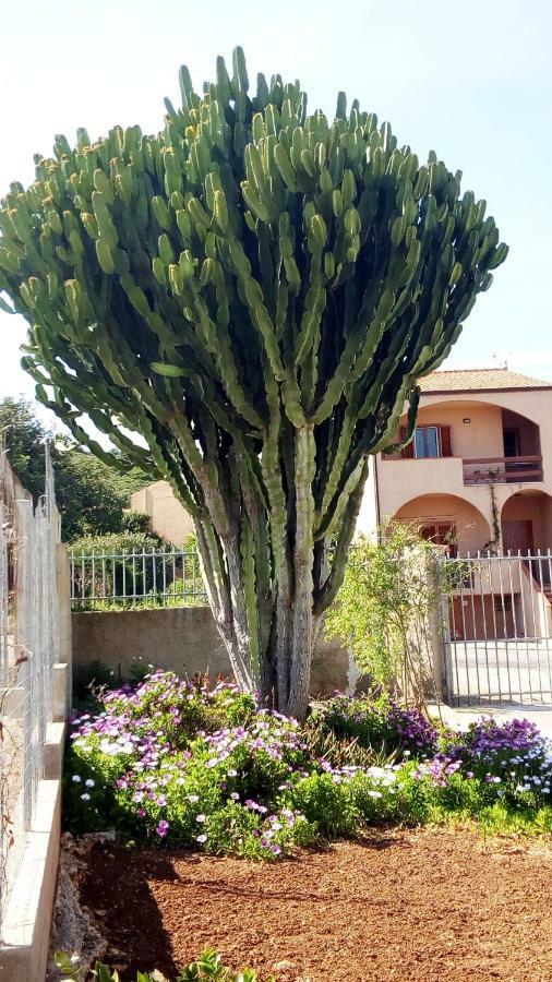 Privacy & Relax In Sardegna Bed and Breakfast Porto Conte Buitenkant foto